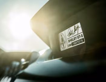 Intérieur 2019 Shelby GT-S '2019