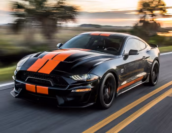 2019 Shelby GT-S '2019