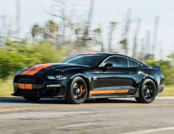 2019 Shelby GT-S '2019