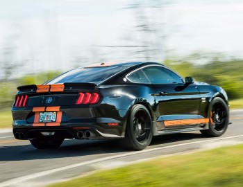 2019 Shelby GT-S '2019