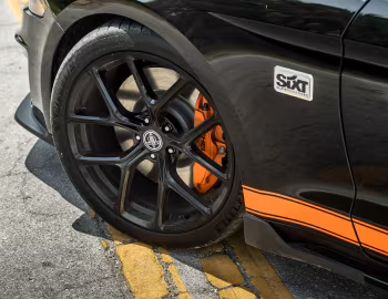 2019 Shelby GT-S '2019