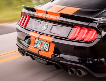 2019 Shelby GT-S '2019