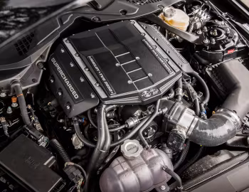 Sous la capuche 2019 Shelby GT-S '2019