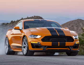 2019 Shelby GT-S '2019