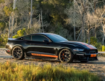 2019 Shelby GT-S '2019