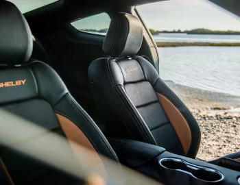 Intérieur 2019 Shelby GT-S '2019