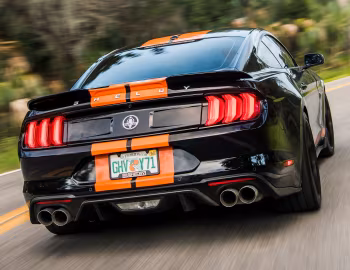 2019 Shelby GT-S '2019