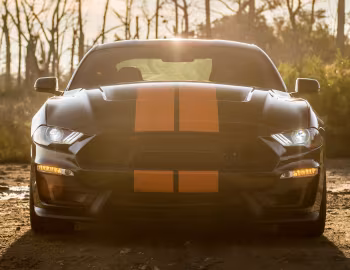 2019 Shelby GT-S '2019