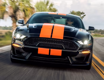 2019 Shelby GT-S '2019