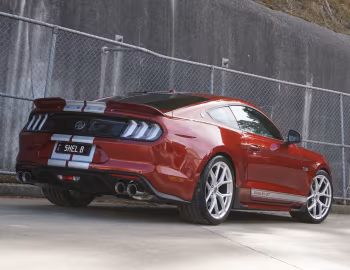 Shelby GT [Australia] (19SGTX6703) '2019