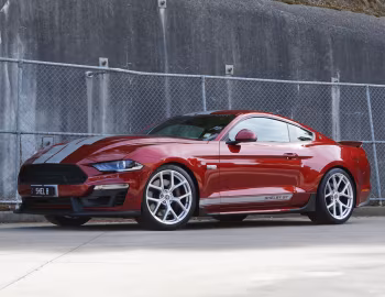 Shelby GT [Australia] (19SGTX6703) '2019