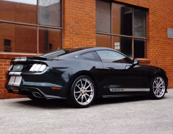 Shelby GT [Australia] (16SGT0707) '2016