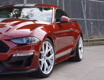 Shelby GT [Australia] (19SGTX6703) '2019