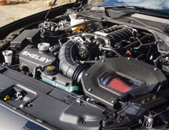 Sous la capuche Shelby GT [Australia] (20GTX6714) '2020
