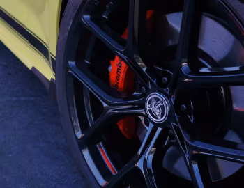 Shelby GT [Australia] (21SGTX6719) '2021