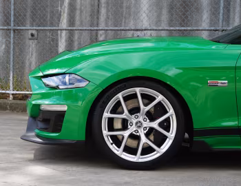 Shelby GT [Australia] (19SGTX6701) '2019