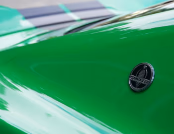 Logo Shelby GT [Australia] (19SGTX6701) '2019