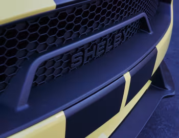 Shelby GT [Australia] (21SGTX6719) '2021