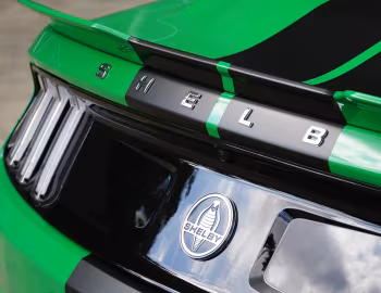 Logo Shelby GT [Australia] (19SGTX6701) '2019