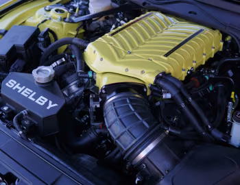 Sous la capuche Shelby GT [Australia] (21SGTX6719) '2021