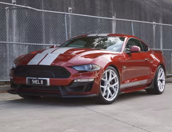 Shelby GT [Australia] (19SGTX6703) '2019