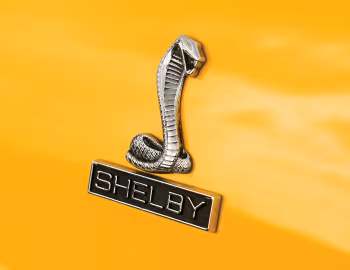 1970 Shelby GT350