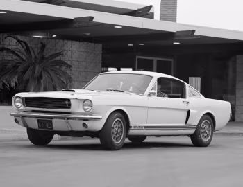 1966 Shelby GT350