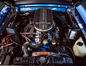 Sous la capuche 1968 Shelby GT350 Convertible