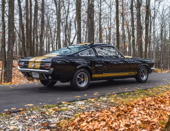 1966 Shelby GT350H (6S715)