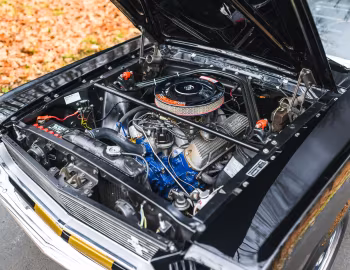 Sous la capuche 1966 Shelby GT350H (6S715)