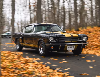1966 Shelby GT350H (6S715)