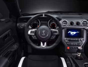 Panel frontal 2016–19 Ford Mustang Shelby GT350R '2015–19