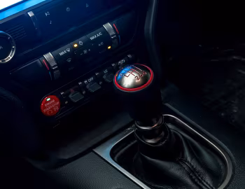 Intérieur 2016–19 Ford Mustang Shelby GT350R '2015–19