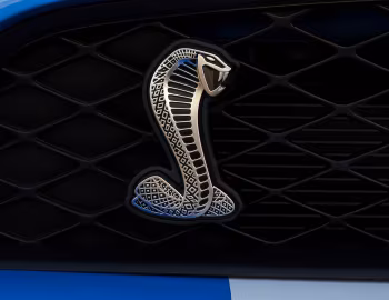 2010–12 Shelby GT500 '2009–12
