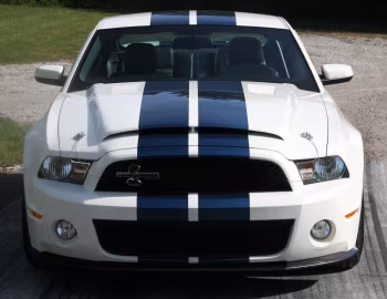 2010 Shelby GT500 "Patriot Edition" '2009