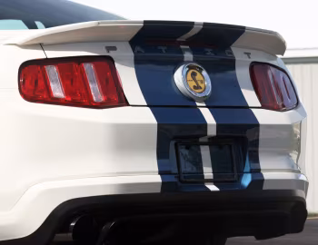 2010 Shelby GT500 "Patriot Edition" '2009