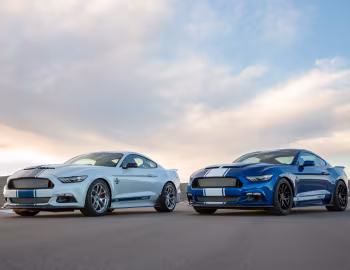 2017 Shelby Super Snake "50th Anniversary" [North America] '2017