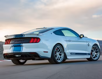 2017 Shelby Super Snake "50th Anniversary" [North America] '2017