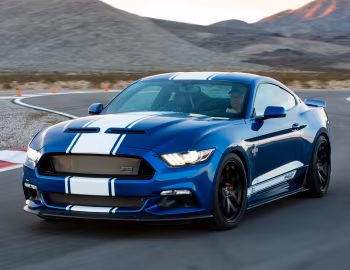 2017 Shelby Super Snake "50th Anniversary" [North America] '2017