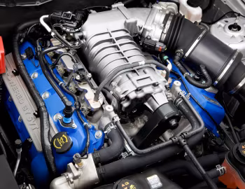 Sous la capuche 2011–12 Shelby GT500 SVT [North America] '2010–12
