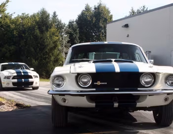 Shelby GT500 "Patriot Edition", Shelby GT500 with LeMans stripes option