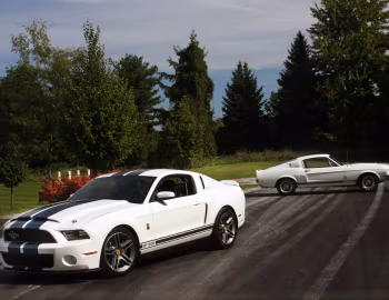 Shelby GT500 "Patriot Edition", Shelby GT500 with LeMans stripes option