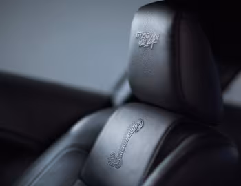 Interior 2008 Shelby GT500KR "40th Anniversary" '04.2007