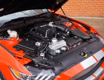 Bajo el capó Shelby GTE [Australia] (17GTEX6705) '2017