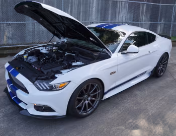 Shelby GTE [Australia] (17GTEX6707) '2017
