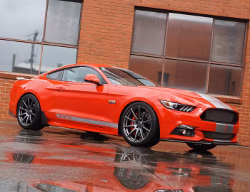 Shelby GTE [Australia] (17GTEX6705) '2017