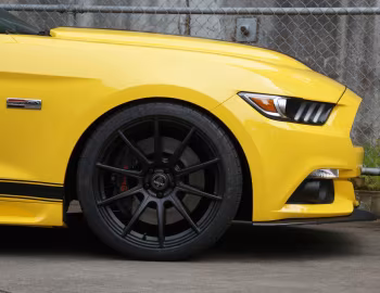 Shelby GTE [Australia] (17GTEX6706) '2017
