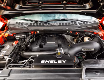 Bajo el capó 2018–20 Shelby Baja Raptor '2017–20