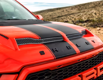 2018–20 Shelby Baja Raptor '2017–20