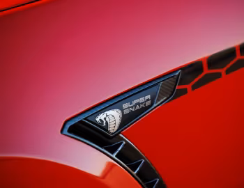 2026 Shelby Super Snake-R '2025–pr.